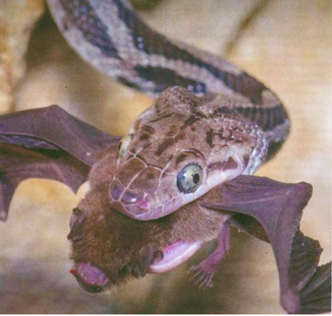 Proyecto Kantemó un modelo exitoso – Revista Hola Tulum