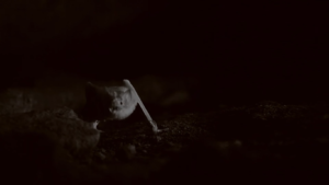 Cueva de las serpientes colgantes (Kantemó) en Animal Planet 2021